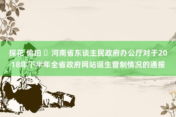 探花 偷拍 ​河南省东谈主民政府办公厅对于2018年下半年全省政府网站诞生管制情况的通报